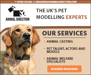 Animal Direction | Animal Models