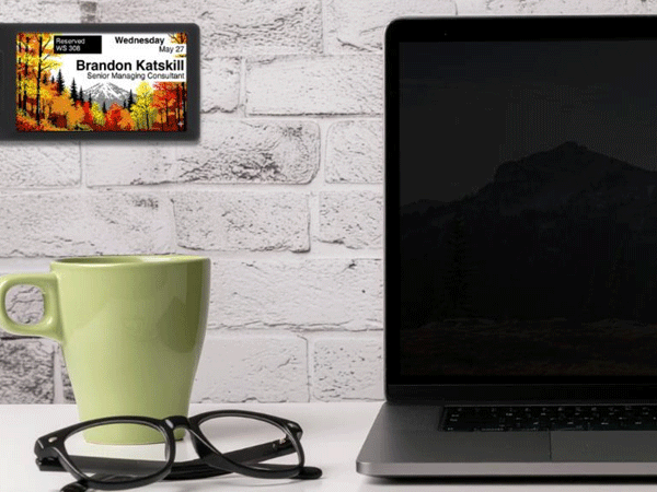 Tailored Specifically For ePaper Workplace Displays