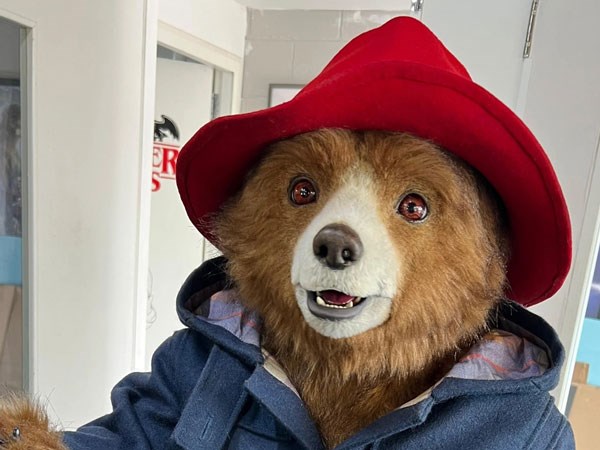Building A Real-Life Paddington Puppet